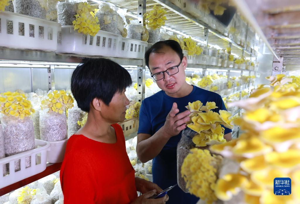 巴黎人十大菠菜