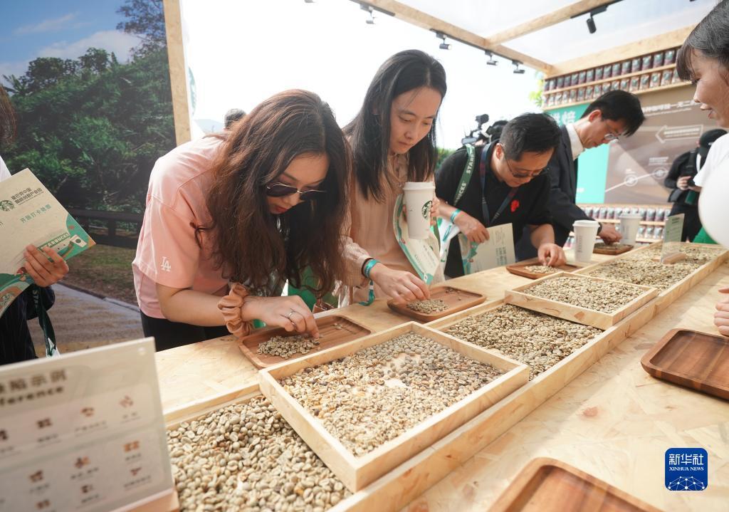 乐玩棋牌官方